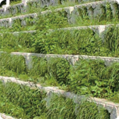 地表水流域綜合治理項目案例 地表水流域綜合治理項目案例