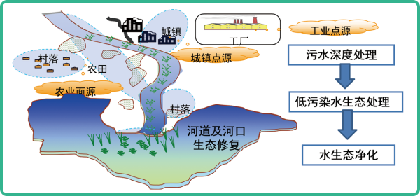 人工濕地，人工濕地建設