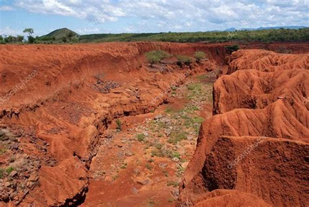 土壤情況 土壤7.jpg