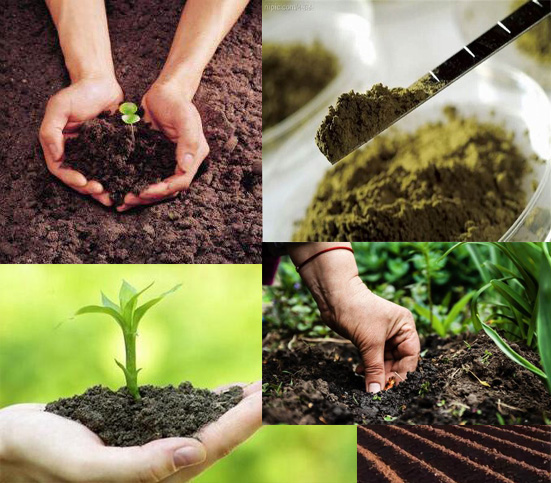 1609146873350775.jpg 土壤環(huán)境.jpg