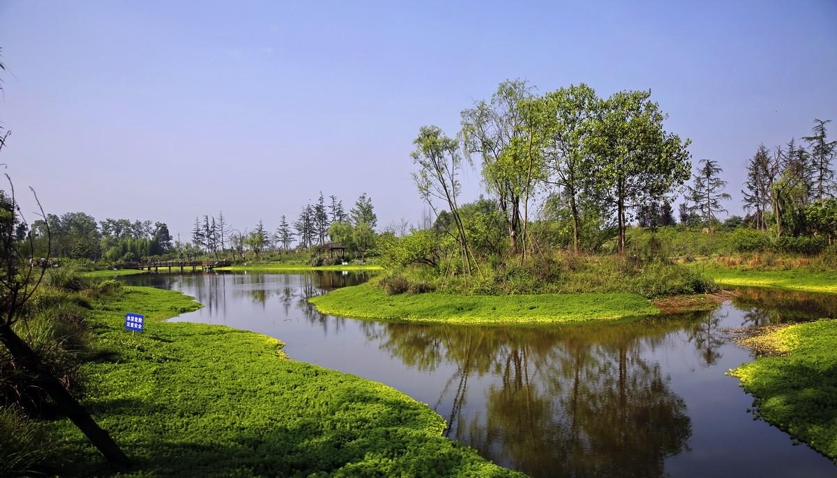 人工濕地工程 人工濕地工程