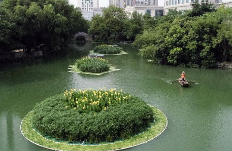 生態(tài)浮島 生態(tài)浮島