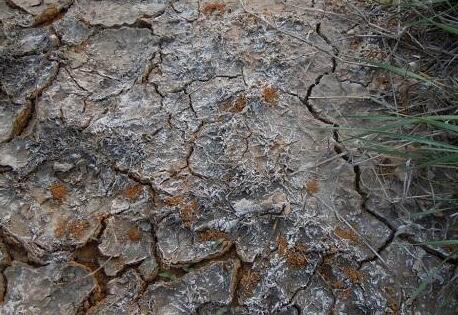 1625621507165207.jpg src=http___image-258.258.com_upload_ueditor_image_20181002_1538481550708887.jpg&refer=http___image-258.258.jpg