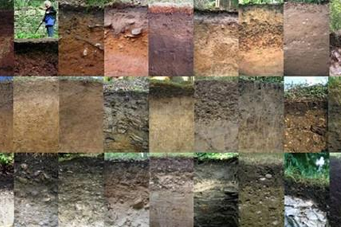 河北華清 河北華清